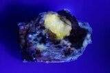 Norton County Aubrite Meteorite Fragment ( g) - Fluorescent! #285984-1
